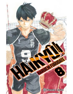 Haiky nº 08